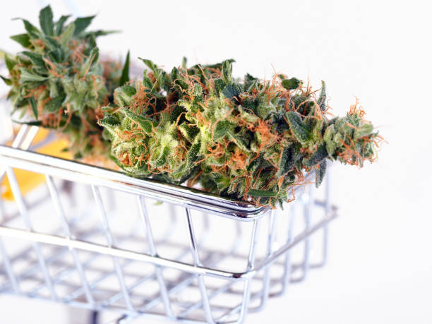 Safety First Best Practices for Using and Storing Weed Carts